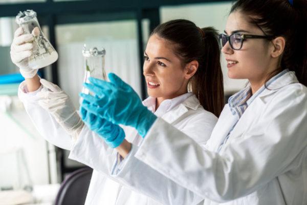 Ghostwriting Hausarbeit schreiben lassen Biologie